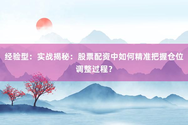 经验型：实战揭秘：股票配资中如何精准把握仓位调整过程？