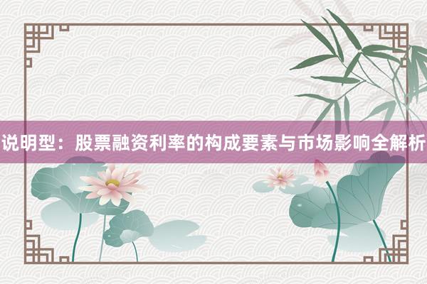 说明型：股票融资利率的构成要素与市场影响全解析