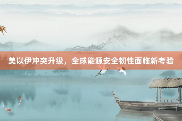 美以伊冲突升级，全球能源安全韧性面临新考验