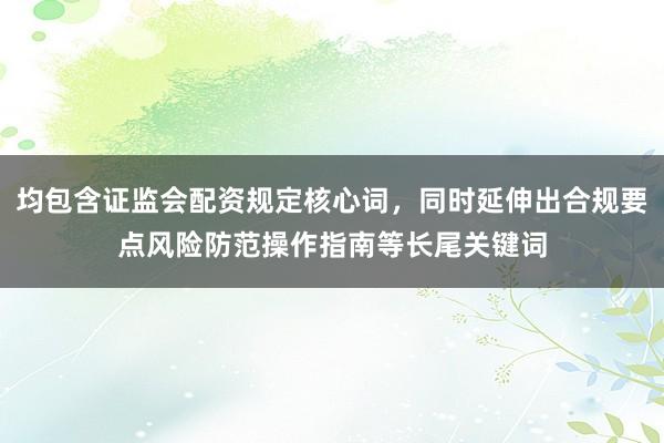 均包含证监会配资规定核心词，同时延伸出合规要点风险防范操作指南等长尾关键词
