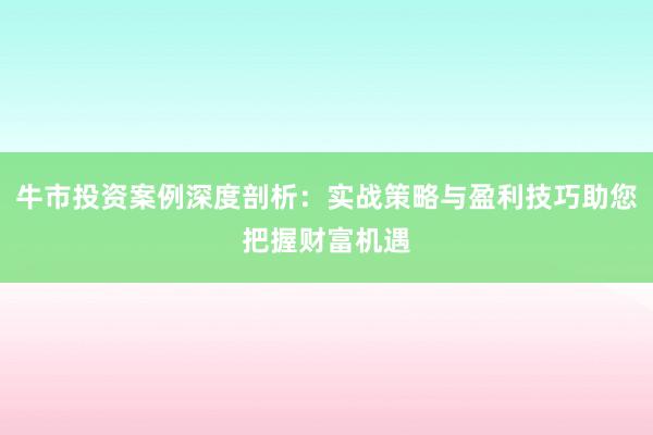 牛市投资案例深度剖析：实战策略与盈利技巧助您把握财富机遇