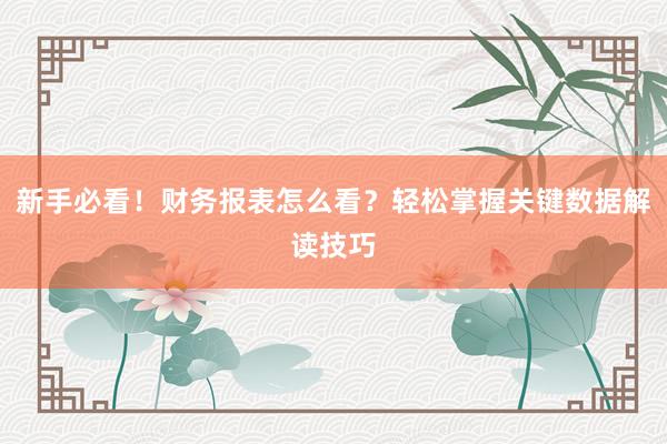 新手必看！财务报表怎么看？轻松掌握关键数据解读技巧
