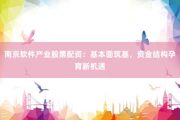 南京软件产业股票配资：基本面筑基，资金结构孕育新机遇