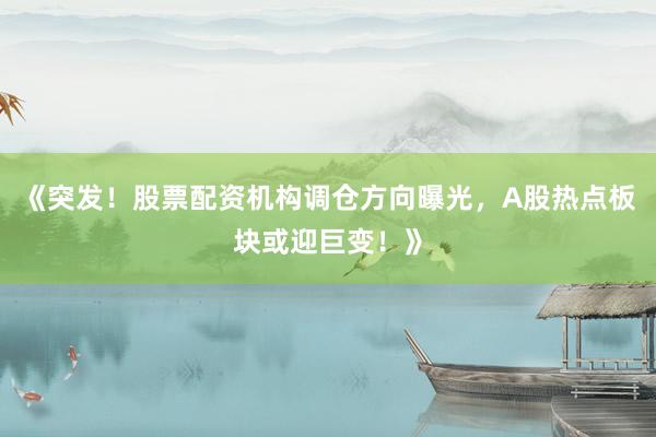 《突发！股票配资机构调仓方向曝光，A股热点板块或迎巨变！》