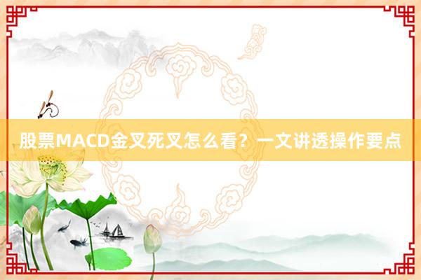 股票MACD金叉死叉怎么看？一文讲透操作要点