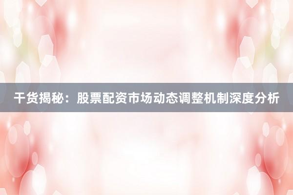 干货揭秘：股票配资市场动态调整机制深度分析